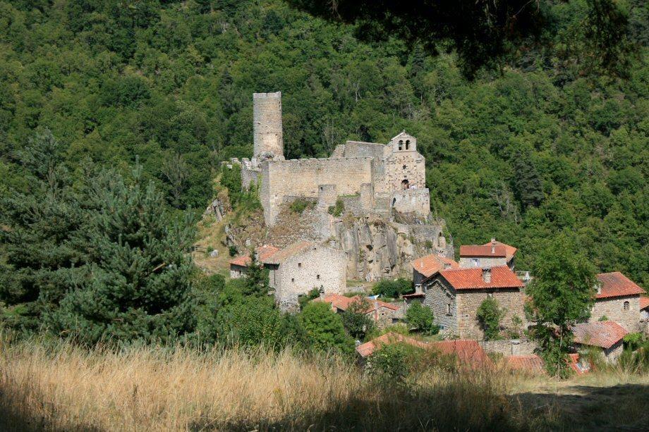 Villa Au Nid D'Hirondelles Saint-Andre-de-Chalencon Habitación foto